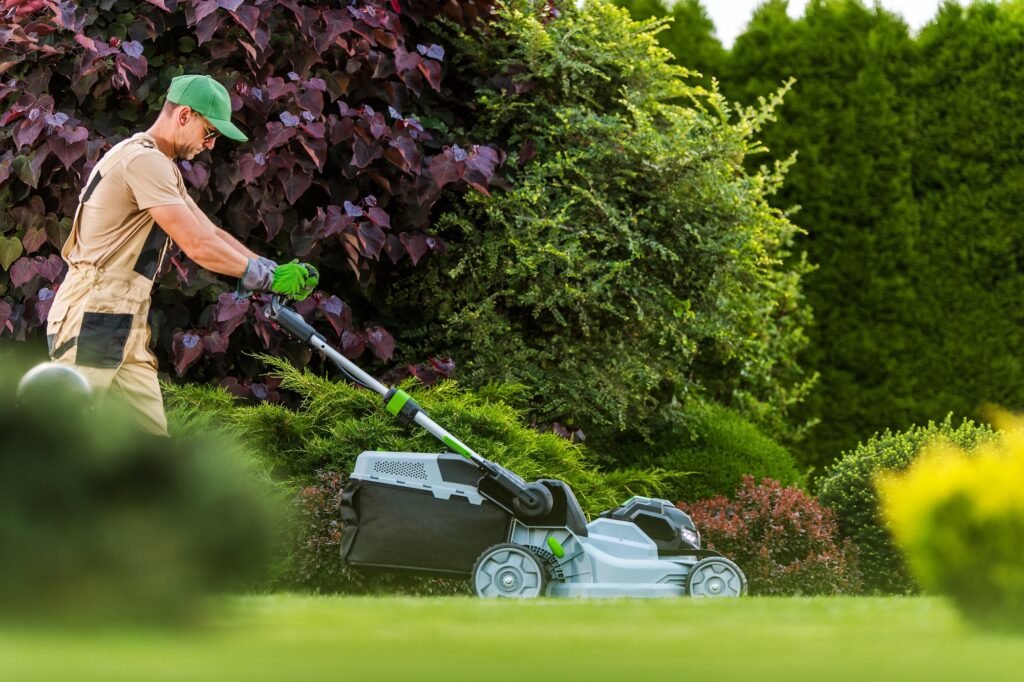 Lawn Care Services 